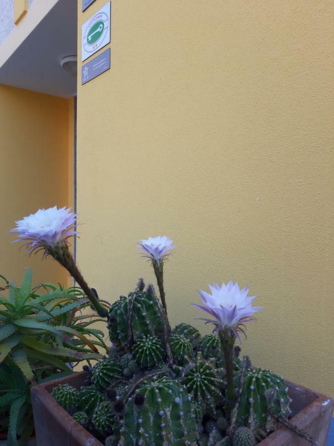 Mediterranean Concept House Hotel La Spezia Eksteriør billede