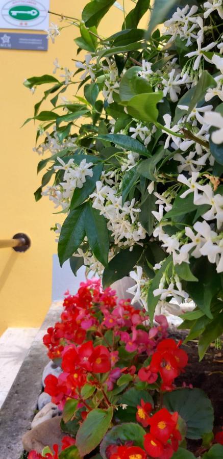 Mediterranean Concept House Hotel La Spezia Eksteriør billede